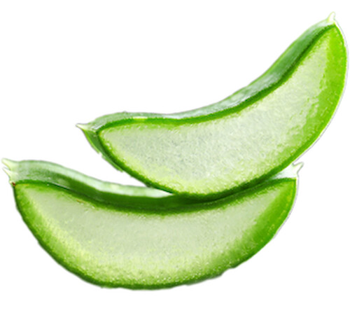 Aloe Vera image